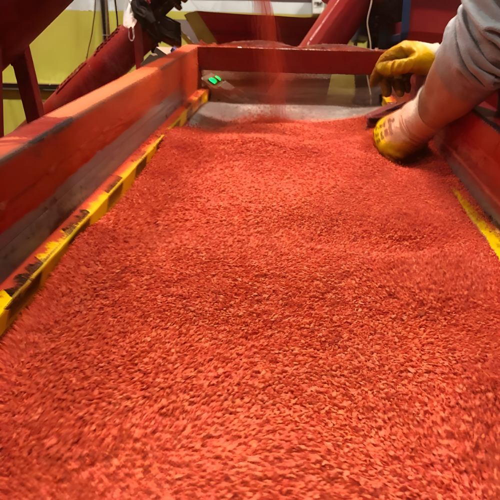 EPDM granule production plant installation services